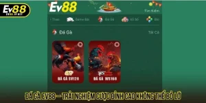Đá Gà EV88