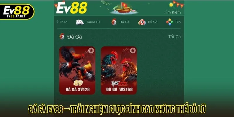 Đá Gà EV88