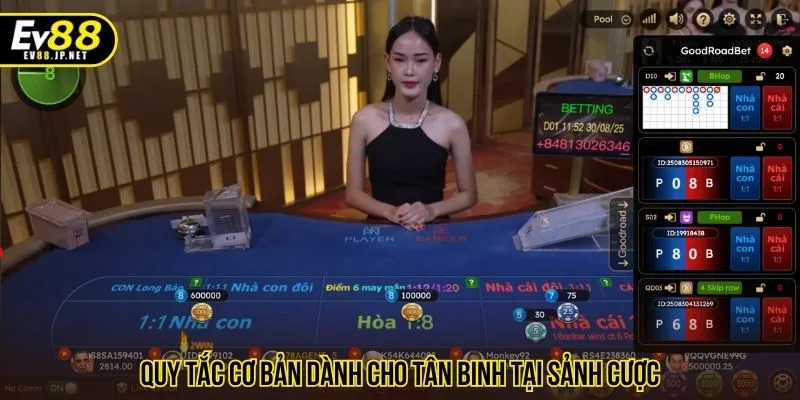 Quy tắc cơ bản dành cho tân binh tại sảnh cược