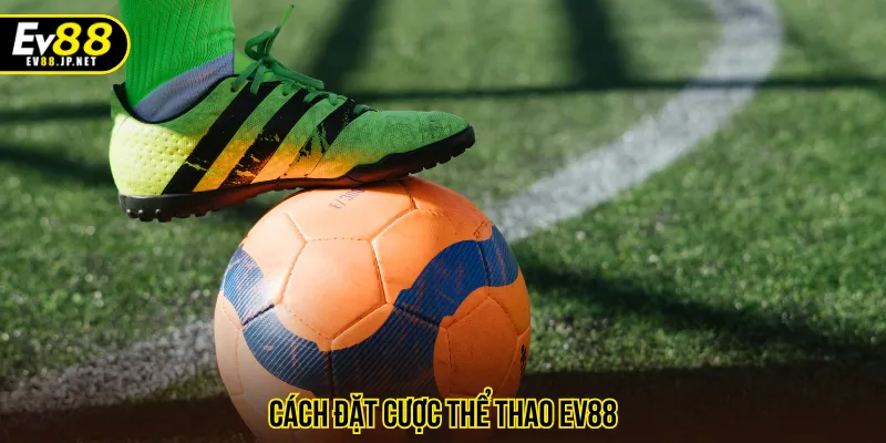 cách đặt cược thể thao EV88