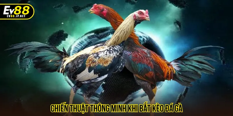 Mẹo đá gà EV88 luôn thắng khi bắt kèo cần nắm vững
