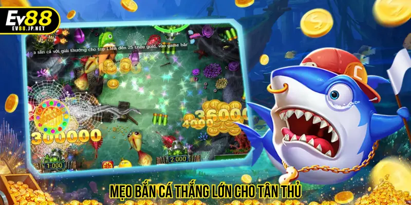 Mẹo bắn cá thắng lớn cho tân thủ