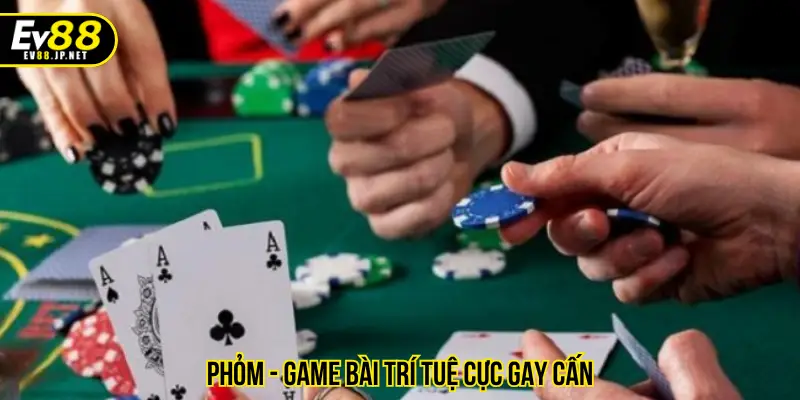 Phỏm - Game bài trí tuệ cực gay cấn